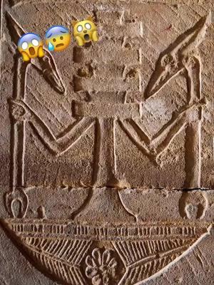 ALIENS FOUND IN ANCIENT EGYPT????👽🇪🇬#ancientaliens #ancientegypt #ancient #ancientegyptians #ancienthistory