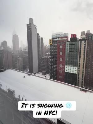 It is snowing in NYC! #snow #nyc #newyorkcity #manhattan #winter2025 #snownyc #snownyc2025 #nycsnow #nycsnowstorm 