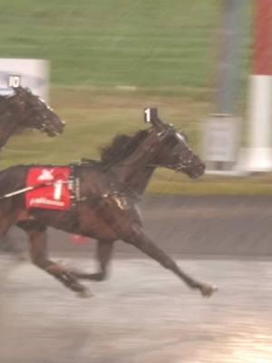 In at #3 on our #Top10 is the Hambletonian Moment. #harnessracing #ustrotting 