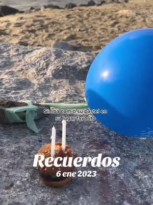 #Recuerdos #dogsofttiktok #fypシ゚viral #birthday #viejito #happylife #friends #playa#regalos #smalldogsoftiktok 