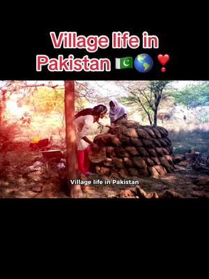 Village life in Pakistan 🇵🇰🌎❣️#creatorsearchinsights #aigeneratedvideo #pakistan #viral #foryou #unitedstates #germony #tiktokteamplzdontunderreviwemyvideos #informativevideos #unfreeze #interstingvideo #plzviral🥺🥺🙏🙏foryoupage #informativevideo #beauty #tiktok #beautyofnature #tiktokteamplzviral #beauty #teamwork #villagelife #beauty 