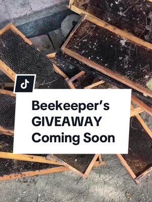 The countdown is on! 🐝 Giveaway details dropping soon—don’t miss it! 🎁✨ #beekeeping #beeremovalexpert #beerescue #beekeepinglife #beekeepersoftiktok #beeremovals 