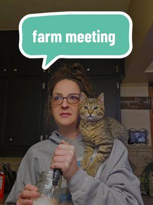 Middle management seems pretty thrilled to not be trekking out in the 20 degree weather if you ask me. #soup #souptok #cats #catsoftiktok #kitten #kittentok #rescue #farm #farmer #management #theoffice #millenial #genx #morning #morningroutine #updates #debrief #coldfoam #farmchores 