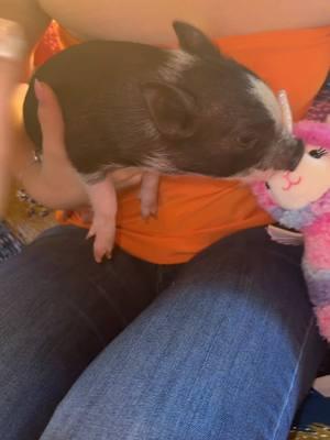 No se quien gritaba más si yo o pinky 🤣🐷 #fyp #paratii #cerdito #mini 