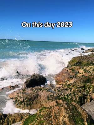 #onthisday2023 #florida #sunshineandblueskies #thesimplethings #enjoythemonent #simplejoys 