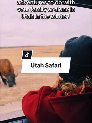 This place is my favorite this time of the year.  Save and go explore these two stops.  #ironwolfproject #winteradventures🍁❄️ #adventuringnearutah #utahhiking #utahisbeautahful #beautahful #winteractivitesinutah #utahliving #utahcheck🧚🏼‍♂️ 