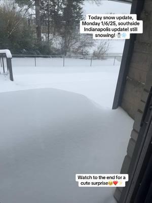 #indianapolis #indiana #mondayvibes #snow #winterstorm #midwest #snowday #snowfall #winterstormwarning #winterstorm2025 #doyouwanttobuildasnowman 