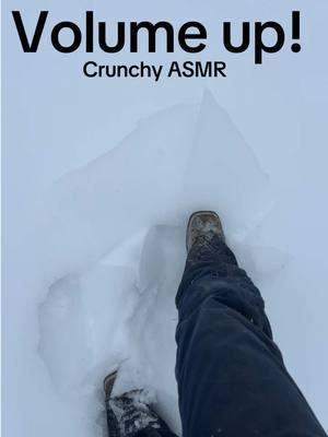 Farm chores this morning were ✨extra✨ crunchy  #farm #asmr #asmrsounds #crunchy #crunchyasmr #snow #ice #winterstorm #farmchores #farmer #snowing #countrylife #fyp #foryou #thewvcowgirl 