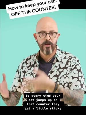 Want to keep your cats off the counter? #cats #catbehavior #catlovers #catsoftiktok #jacksongalaxy 