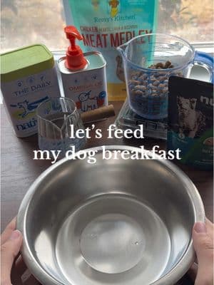 My first dog feeding video for my rescue dog Frankie 🥰  I plan on making an introduction video for her with her backstory and how she found her way into my home!  • • • • • • #fyp #foryou #foryoupage #dogmom #dogtok #dogtiktok #whatifeedmydog #feedingmydog #dogbowl #dognutrition #pettok #petfood #nativepet #openfarm 