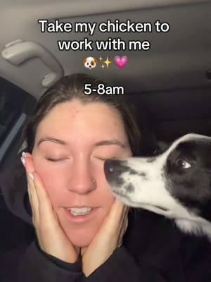 So grateful I get to take my dog with me to work. She is such a skidish dog so doing some training in new surroundings with tons of people around has been one of the best things for her.  #DogTraining #dogmom#dogmomvlog #dogmorningroutine #morninginmylife #dogmusthaves #shydog #dogtips #highenergydog #carmusthaves 