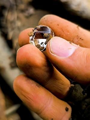 Amazing Surface Herkimer Diamonds 💎  . . . . . . . . . . . . . . . . .. . .. . . .. . . . . . . . . . . . . . . . . . .. . . ... .. . . . . .   . . .. . . . . . . . . . . . . . . . . . . . . . . . . . .   . #reels #reelsfb #thefinders #instagram  #crystals #Herkimerdiamonds #herkimer2024 #rocks #thefinders #crystalhunt #fyp #awesome  #rockhound #thefinders #amazing #beautiful #geology #newyork #foryou  #entertainment  #entertaining #foryoupage #quartz #crystalhunt #gem #discoveringminerals 