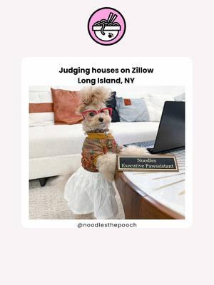 Come on Long Island!!!  𝙄𝙧𝙧𝙚𝙫𝙤𝙘𝙖𝙗𝙡𝙮 𝙨𝙖𝙡𝙩𝙮, $𝙣𝙤𝙤𝙙𝙨 🚀 🚀  -> @noodlesthepooch  #noodlesthepooch #corporatecanine #noodscoin #longisland #lingislandny #nyc #newyork #homes #zillow 