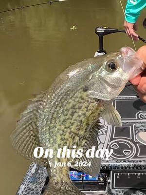 Just another Crappie day using the KFRED Float Popper.#kendallfrederick #kfred #kfredseasoning #kfredfishfry #kendallfrederickonyoutube #kfredfloatpopper #kfredspinningreel #crappiefishing #sacalait #kfredjigs #onthisday 