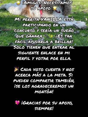 🌟 ¡Amigos! Necesitamos su apoyo 🌟 Mi perrita VANILLA está participando en un concurso y sería un sueño que ganara 🐾✨. ¡Es tan fácil ayudarla a brillar! Solo tienen que entrar al siguiente enlace en mi perfil y votar por ella. http://americasfavpet.com/2025/vanilla-186e/ 🎉 Cada voto cuenta y nos acerca más a la meta. Si pueden compartir también, ¡se los agradeceremos un montón!  💖 ¡Gracias por su apoyo, siempre! #TeamVanilla 🐶💕#americasfavoritepet #americasfavoritepetcontest #vanilla #cockerspaniel 