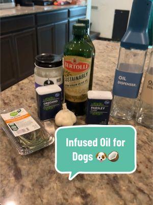 Infused Oil for dogs 🐶🥥 My favorite skin and coat hack! Let me know if you’d like more recipes 🫶🏼 #DogNutrition #CanineNutrition #OilForDogs #InfusedOil 