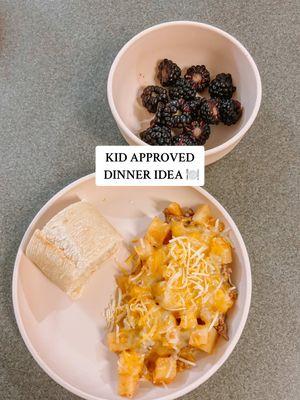 One pan kid friendly dinner 🥔🧀 #familydinnerideas #easydinners #easymeals #quickrecipes #weeklydinnerinspo #familydinners #familyfriendlydinners #kidfriendlymeals #toddlermamas #pickyeater #onepanmeal #MomsofTikTok 