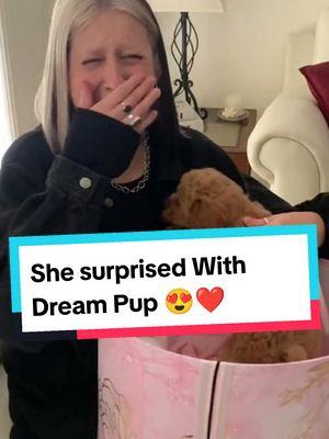 Puppy Surprise Moments That Will Make You Happy Cry ❤️ #dog #dogsoftiktok #dogtok #doglover #puppy #puppytiktok #puppytok #dogs #surprise #gift #emotional #crying #tearsofjoy #wholesome #touching #reaction #fyp 