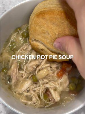 this is precisely what I would use boiled unseasoned *five second rule* shredded chicken for 😅😅😅 #EasyRecipe #KitchenHacks #kitchengadgets #chicken #chickenpotpie #soup #lacycavaliercarmichael 