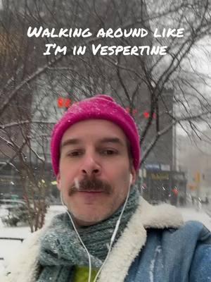 @bjork #bjork #vespertine #nyc #snow 