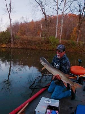 IN THE NET!! #muskyfishing #trophytimeleaders #foryourpage #fyp #fish #fishtok #fishing #piscfunfishing @bassproshops 