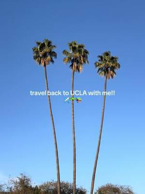 YAAAAYYY LAAAAA @UCLA @Jon & Vinny’s #ucla #uclavlog 