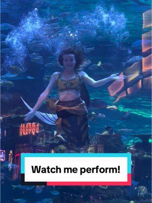 Replying to @Shayaa417 watch me perform on youtube! I’m @Haleymermaid on instagram, youtube, and facebook #mermaid #performance #performing #realmermaid 