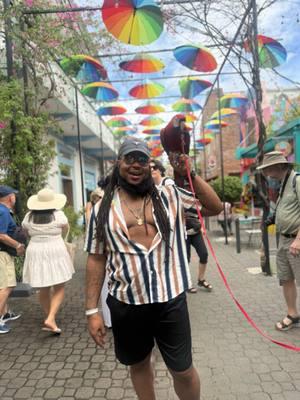 Just a lil preview of my trip in the  Dominican Republic 🇩🇴 #puertoplata #Chefhellooo #dominicanrepublic #goodvibes #Pinkalley #umbrellastreet #thingstodo #puertoplata #royalcaribbean #royalcaribbeancruise #independenceoftheseas 