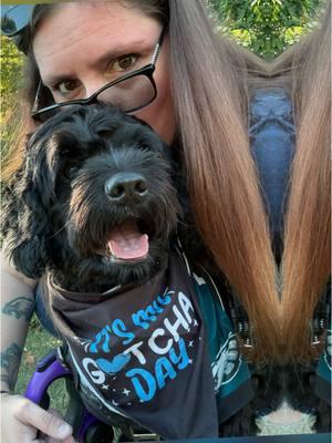 Who saved who? Please VOTE for Shady! Link: @fnafchica58 @meowmeow  https://americasfavpet.com/2025/shady-6c93 #americasfavpet #shady #dogsoftiktok #mybestfriend  #shadybaby #rescuedog #rescueanimals #vote #doglife #dogs #blackdog #theblackdog #rescuepet 