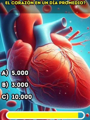 🔴¿CUÁNTO SABES DE CULTURA GENERAL?🔵🧠🤓 #anatomiahumana #culturageneral #quiz #trivia #triviador #fyp 