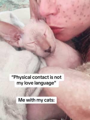 Cuteness aggression 👹#catlady  #cats #kitten #cutenessaggression #lovelanguage #peterbald #nakedcat 