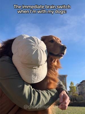 My comfort ❤️ #sweetdogs#goldenretriever#dogbond#dogsiblings#cutedogs#pet#smartdogs#dogsarethebest#dogmom