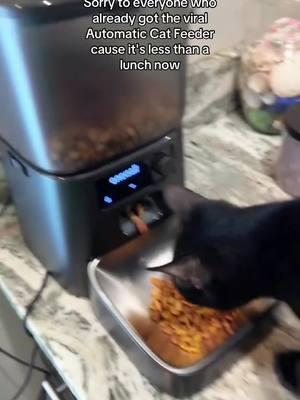 Yall my cat loves it! 🫨 #automaticcatfeeder #oneisallofficial #dogfood #catfood #pet 