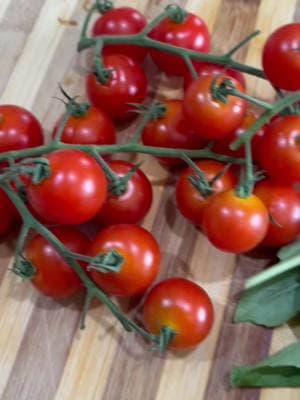 A salad that’s as fresh as it is satisfying! 🍅🧀 Mozzarella, cherry tomatoes, basil, olive oil, and a touch of balsamic—simple and delicious. Let us know if you make it and tag us so we can see!  #ivimhealth #capresesalad #EasyRecipe #CerealCerdik #cookingwithivim #cooking #Foodie #foodtiktok #glp1tips 