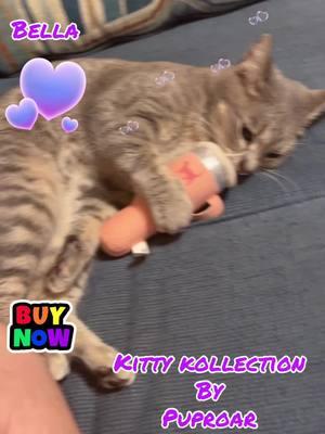 #foryoupageofficiall #60andfabulous #tictokshopholidayhaul #TikTokShop #tictokshopping #NewYearNewAura #affliatetiktok #tiktokshopholidaydeals #catsoftiktok #pets #cattoys @PUPROAR 