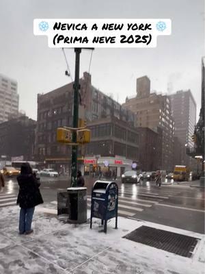 Prima neve del 2025 a New York ❄️ #snow #primaneve #newyork #snowing #letitsnow #nyc #martinamaceratesi #foryou #perte #todo 