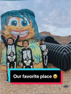 My favorite days are spent @Shindig Farms with my boys! If I could go everyday I would. #shindigfarmsnampa #nampaidaho #timepleaseslowdown #blessed #myboys #kids #family #farm #pumpkinpatch #idaho #shindigfarms 