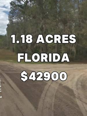 1.18 Acres with road access for Sale in Florahome Florida for $42,900 #land #property #investing #cheap #forsale #sale #vacantland #landcentury #USA #fyp #viral #realestate #realestateagent #realtor #realtors #realestateagents #flip #flips #flipping #properties #propertyforsale