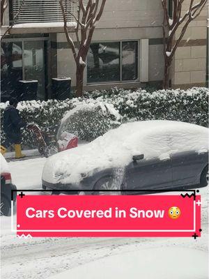 Wyd if you see this happening to your car?👁️👄👁️  #snow #dc #dcsnow #washingtondc #dryhumor #deadpan #maskoffwq #snowwar #shovel #Jesus #God ##dmv #revelation #comedy #humor #laugh #comedian #reactionvideo #peoplewatching 