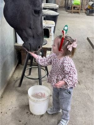 Working smarter, not harder with running the bucket 😂 #fyp #viral #toddlermom #farmlife #toddlersoftiktok #barnlifeisthebestlife #hearthorse #treats #horsetok #horsesoftiktok 