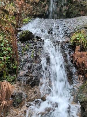 After a 7 and a half mile hike, seeing 10 waterfalls with my favorite people was well worth it. #waterfall #waterfalls #water #hike #nature #fyp #mile #waterfallsoftiktok #silverfalls 