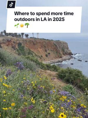 If your New Year’s Resolution is to spend more time in nature, we have the spots for you! Share with someone you want to hike with in 2025 🌱☀️🌴 ➡️ Head to our link in bio for more LA spots where you can enjoy lush greenery and trees 🌳  #losangeles #escapes #tujuna #palosverdes #ranchopalosverdes #montecitoheights #frogtown #oceanreservetrail #threesistersreserve #debsregionalpark #lariver #lariverbikepath #Outdoors #nature #losangelesoutdoors #lanature #laoutdoors #newyearsresolution #2025 #Hiking #hikingtrails #mysecretla 