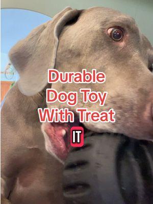 Ultra durable dog toy and treat holder.  This has been our best dog toy purchase ever.  #dogtoy #dogtreat #dogtoys #dogchew #durabledogtoys #favoritedogtoy 