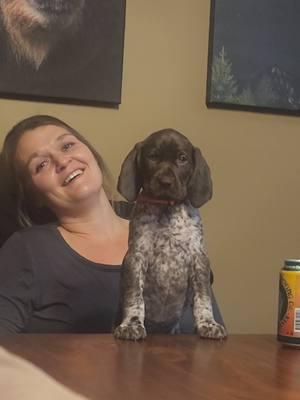 Timber and Goose from our #willowbenlitter3 hanging out with our Mindy and Rachel from our vet clinic #friends #6weeksold #gsp 