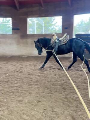 #rojasranch #caballos #charreria #charro #ejercicio #shinningBlack🐴 #Rojashorseperformers #treining 