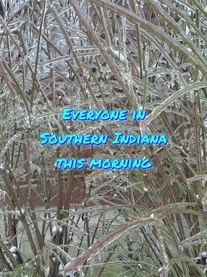 We have so much ice and snow right now, my yards covered in frozen broken tree limbs #cold #freezing #southernindiana #evansville #indiana #evansvilleicestorm #icestorm2025 #evansvilleindiana #snow #winterstorm #snowstorm #sleet #brrr 