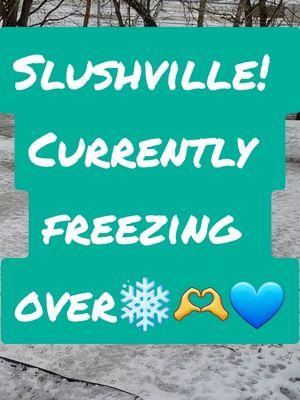 I lost yalls other comments from the morning video. This is current weather.   Half inch of sleet,  on it's way to becoming ice. Plus flurries. All is well! 31F now, 17 tonight.  Virginia #Appalachia #swVA #Duckville #MomsofTikTok #baby #babies #kidsoftiktok #ducklings #riverducks #clinchriver #virginia #ducks #duck #mallards #woodducks #Love #foryou #kindness #fypage #Fyp #fypシ゚viral  #fypツ #foryou #fyppp #foryourpage #fypage #fypage  #viralvideos #animalsoftiktok #wildlife #wildanimals #naturetok #foryoupage #fypp #clinchriver #riverducks #riverlife #river #water #Home #tiktok #tiktoker #thanksforwatching #fyppppppppppppppppppppppp #viral #nature #natureathome  #thanksforwatching #foryoupage #fyp #Foryou #foryoupageofficiall #fypシ #fypシ゚viral #TikTokLIVE #LIVE #Virginia #Duckville #Beauty #Cayuga #wobbles #dadsoftiktok #MomsofTikTok #baby #babies #kidsoftiktok #ducklings #riverducks #clinchriver #virginia #ducks #duck #mallards #woodducks #Love #foryou #kindness #fypage #fyp #fypシ゚viral  #fypツ #foryou #fyppp #foryourpage #fy #viralvideos  #foryoupage #fypp #fyppppppppppppppppppppppp #viral #nature #natureathome #thanksforwatching #4upage #foryou #fypシ #fypシ゚viral #foryourpage #ducks #cayuga #pekin #mallard #wildlife #clinchriver #fy #fyppppppppppppppppppppppp #fyppp #foryou #4upage #fypシ #fypdongggggggg 