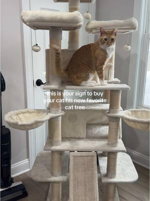 This cat tree is my kittens new favorite toy!! It’s a whole entire cat palace! #cattree#catlover#catsoftiktok #catgift#cats #TikTokShop#catmom #pet#animallover 