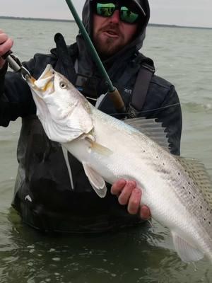 Cold, wet, and windy conditions = Big Fish! Another 7lber fell for the @Coastal Brew Bait Co. 8” Dart. Can’t say enough good things about out these lures. #fishing #speckledtrout #wadefishing #texas #releaseover20 