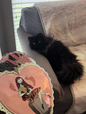 We scored on #TikTokShop with this Loungefly mini backpack for Valentine’s Day!  #cat #catsoftiktok #fluffycat #blackcatsoftiktok #persiancatsoftiktok #persiancat #loungefly #loungeflydisney #ValentinesDay 